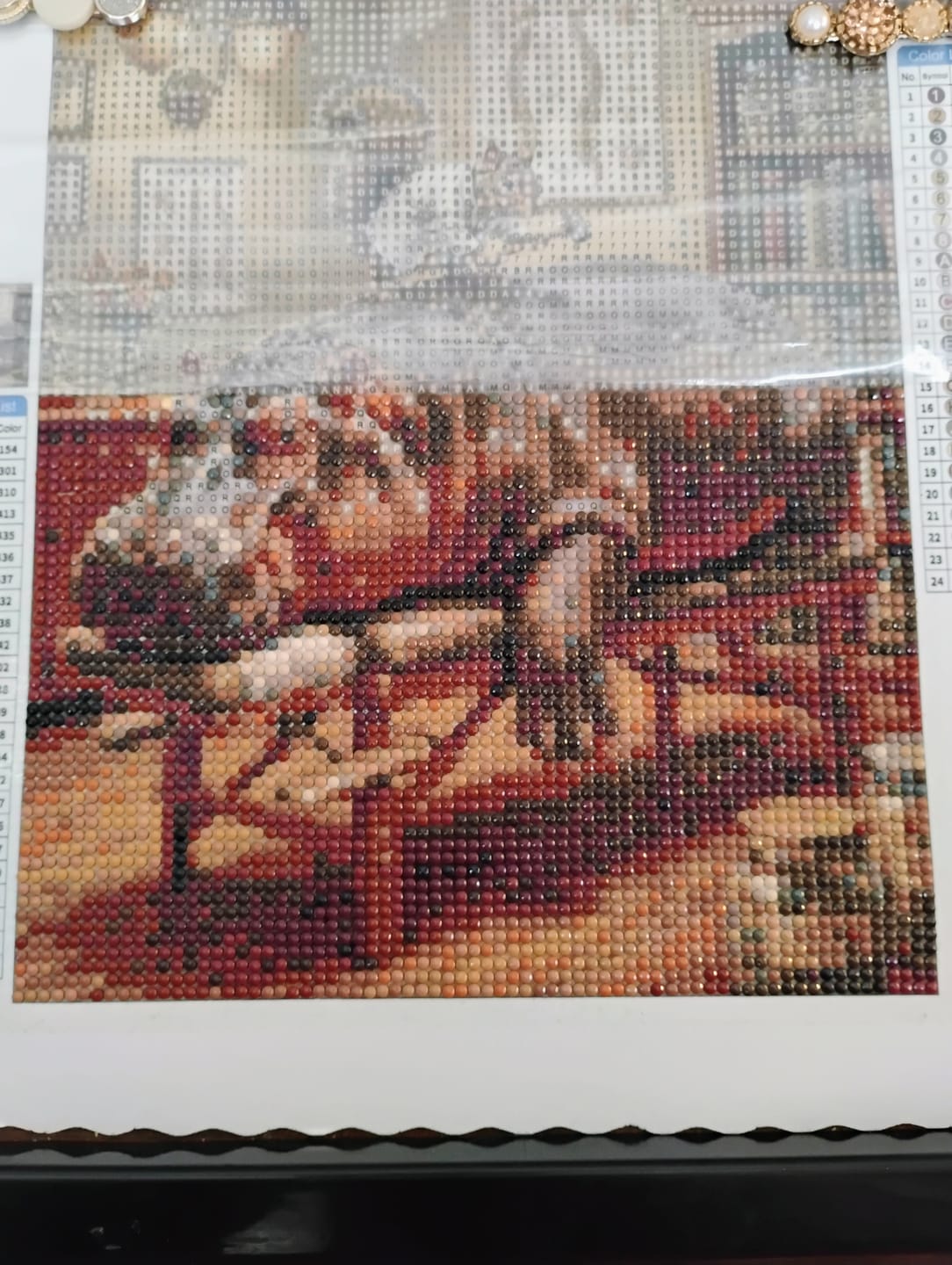 Customer photo review of Hippo Chiropractic Visit (Diamond Painting)