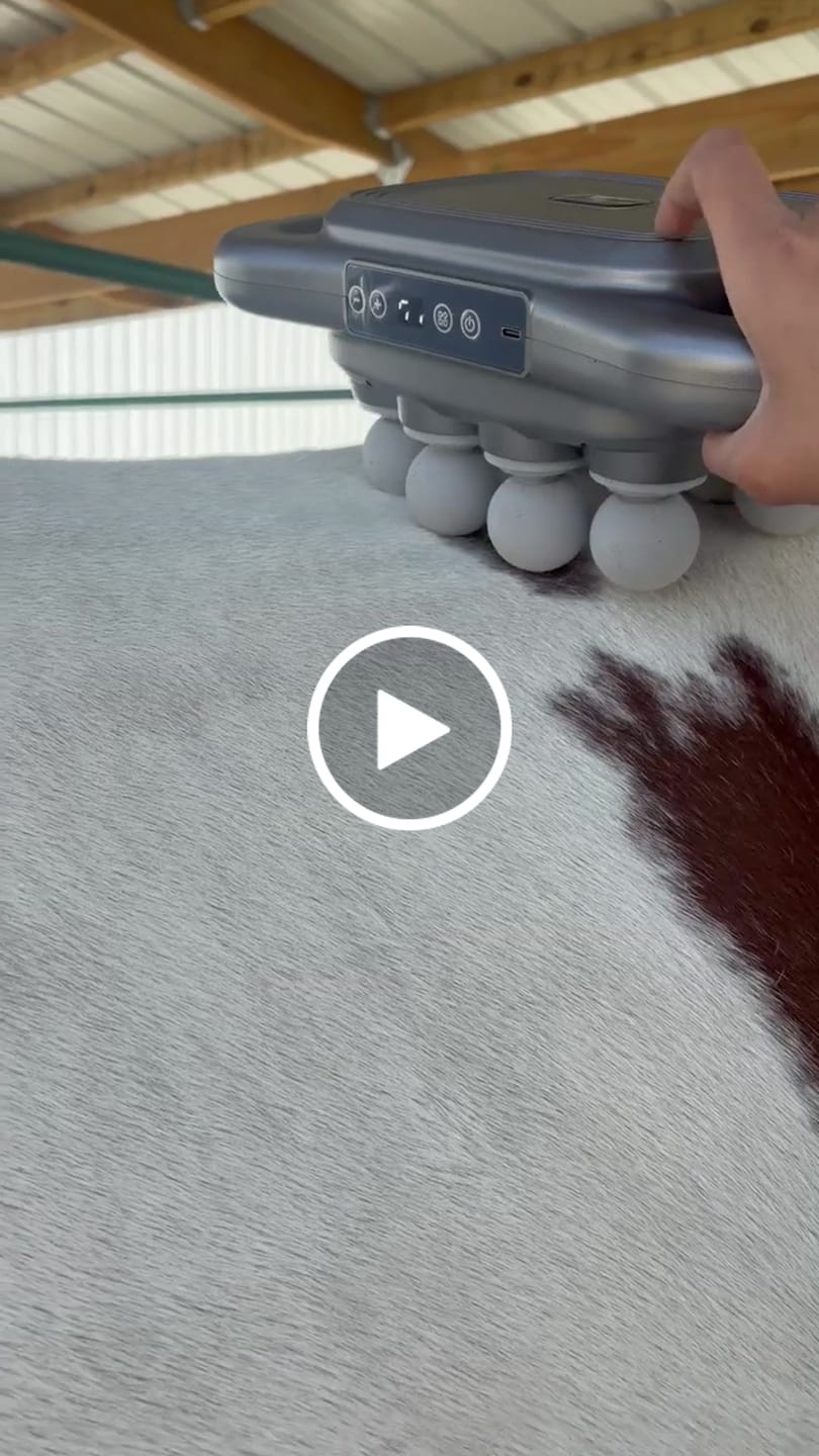 Customer video review of HorseHalo™ 8 Heads Red Light Massage Gun
