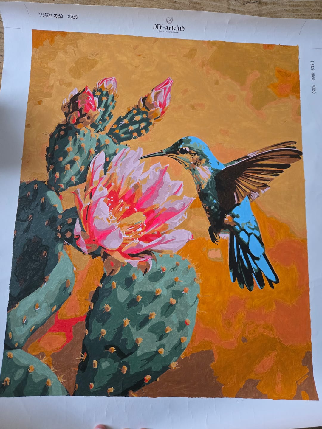 Customer photo review of Mexican Nature | Paint by Number
