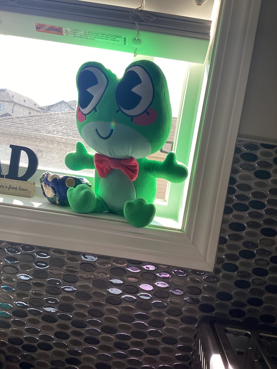 Customer photo review of Ribbit Plush