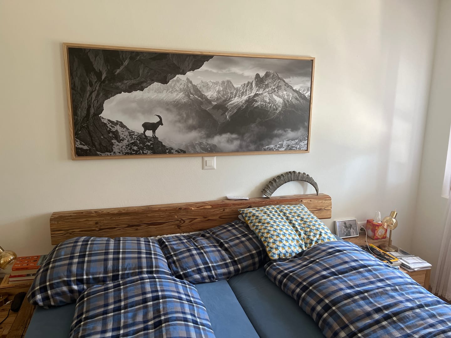 Customer photo review of Alpine Ibex Stillness