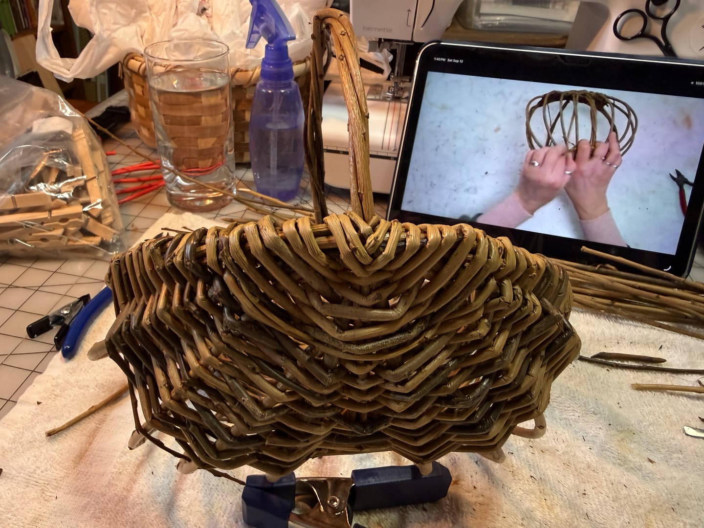Customer photo review of The Foraging Basket Course and Kit