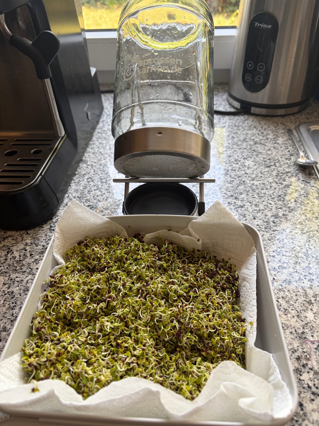 Customer photo review of Starterpaket: The Way We Grow™ System