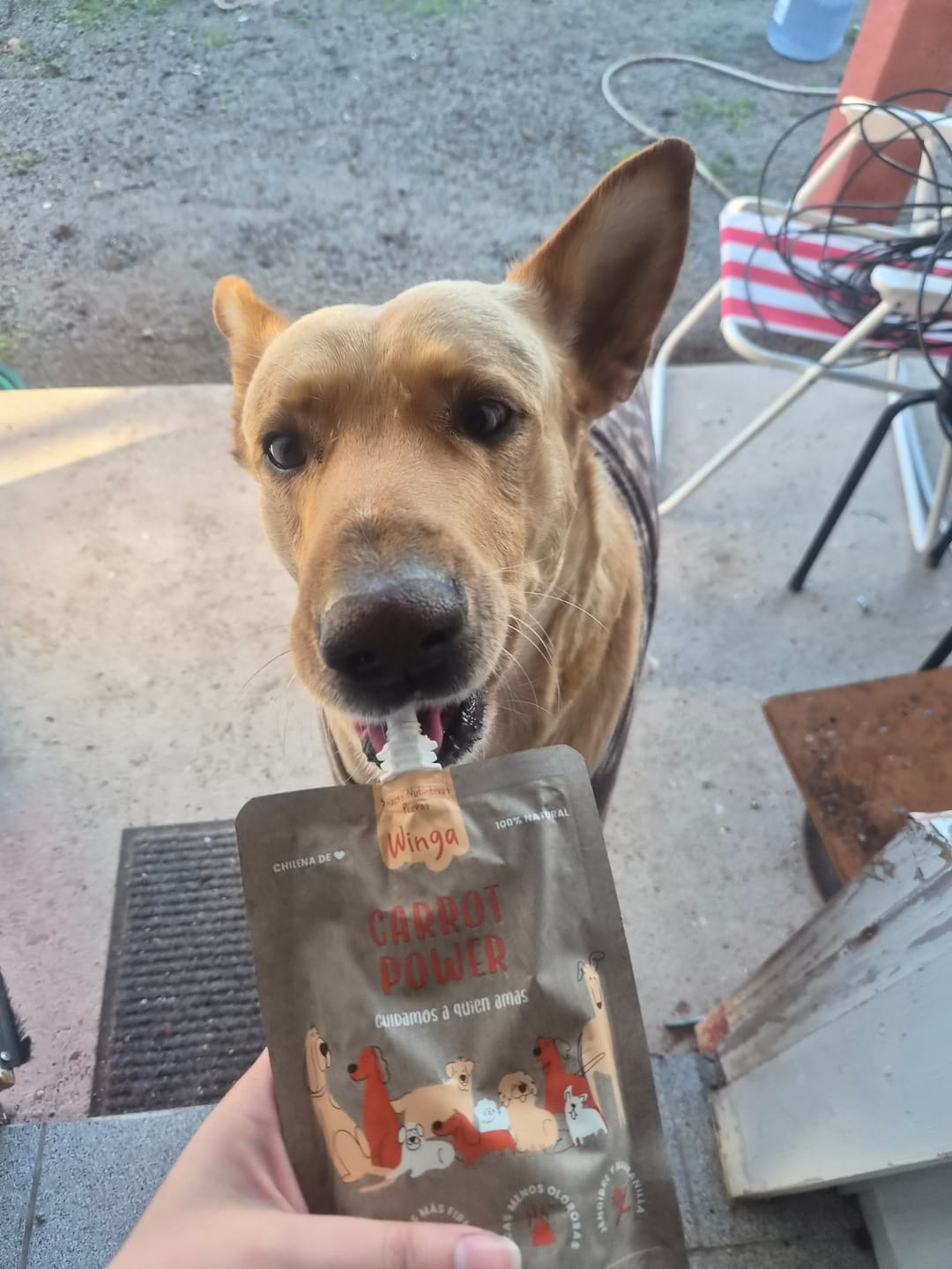 Customer photo review of Carrot Power