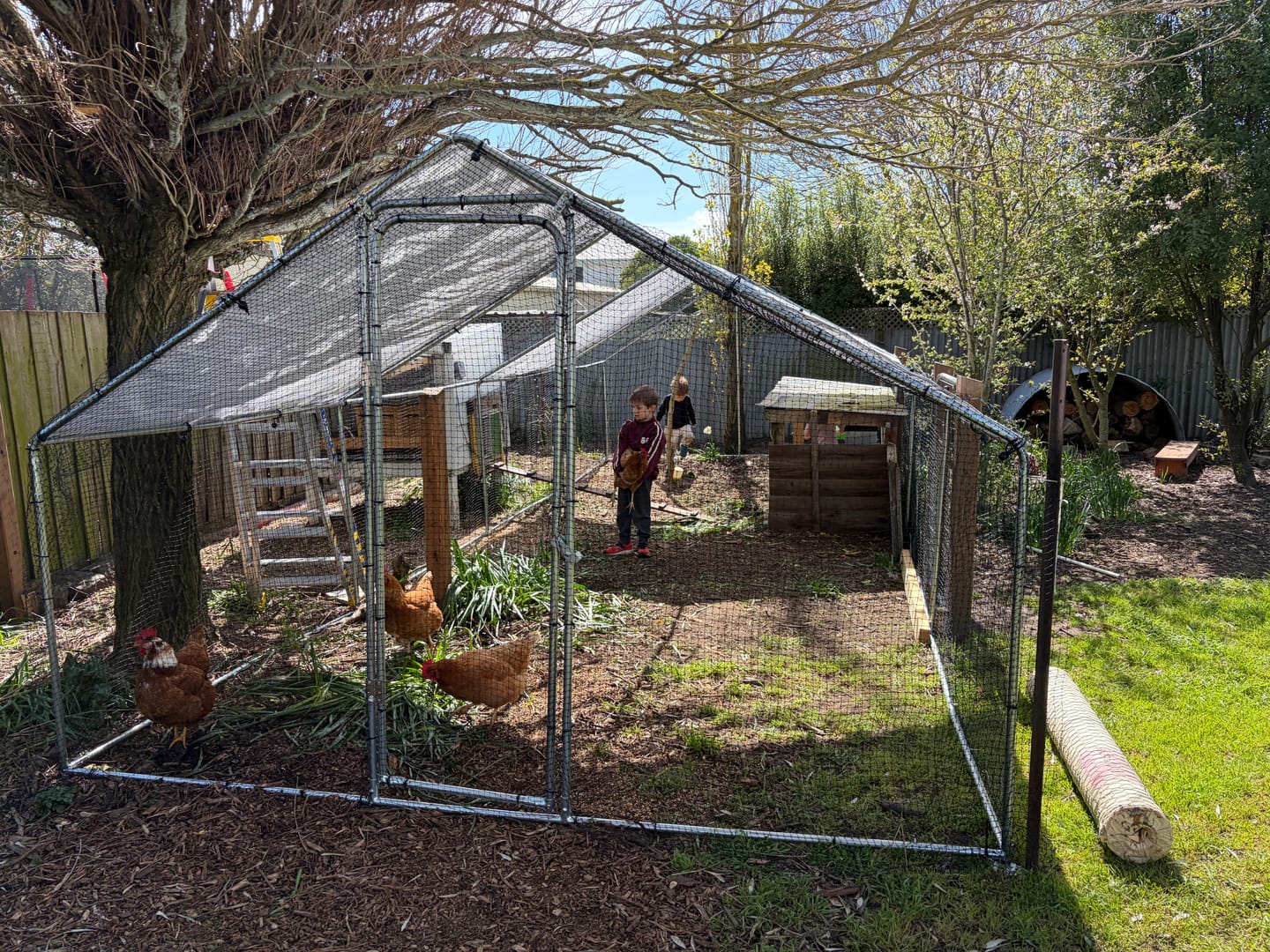Customer photo review of Extra Large Chicken Coop Galvanised Steel 8m x 3m