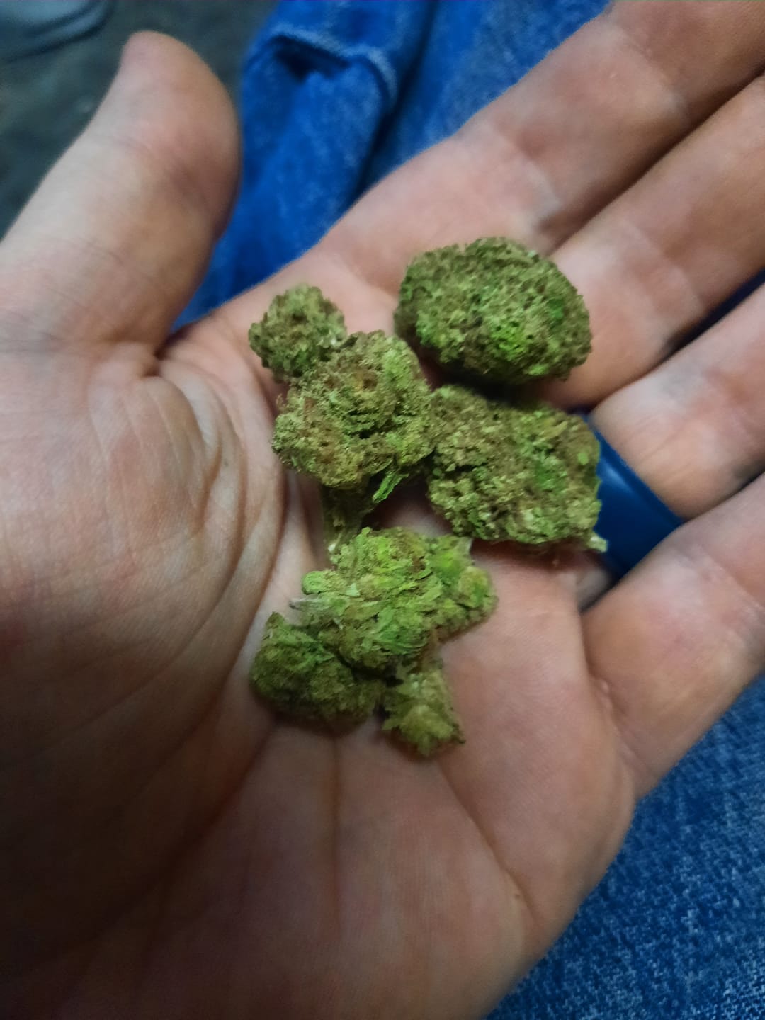Customer photo review of Raspberry Kush - 14 Grams - Indica