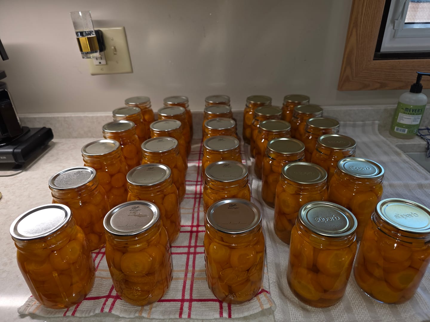Customer photo review of Pint Canning Jars with Lids – Regular Mouth 12 Pack