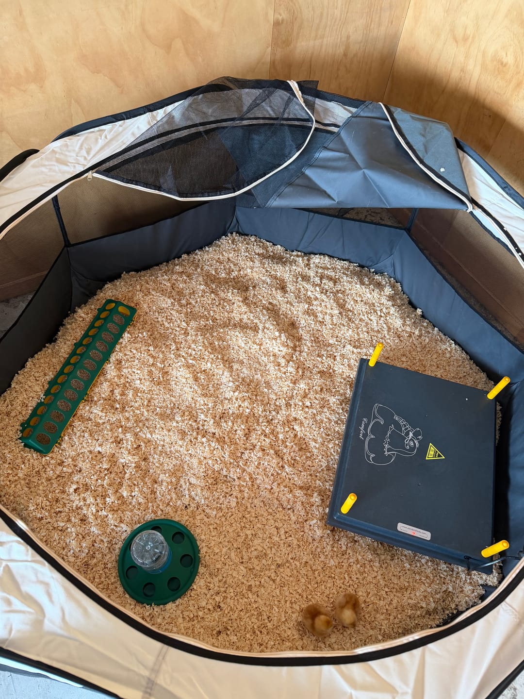 Customer photo review of Chick Brooder combo  WP50 #3