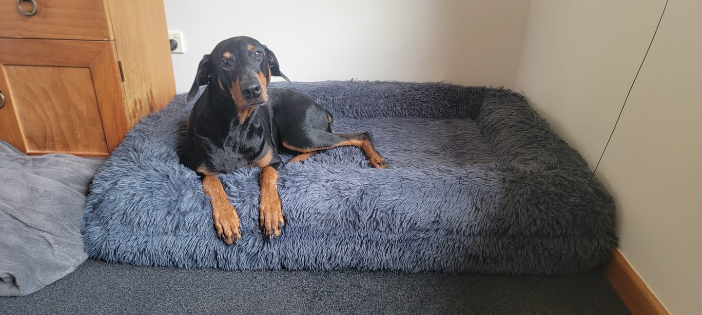 Customer photo review of Brooklyn® Ultra Memory Foam Bed
