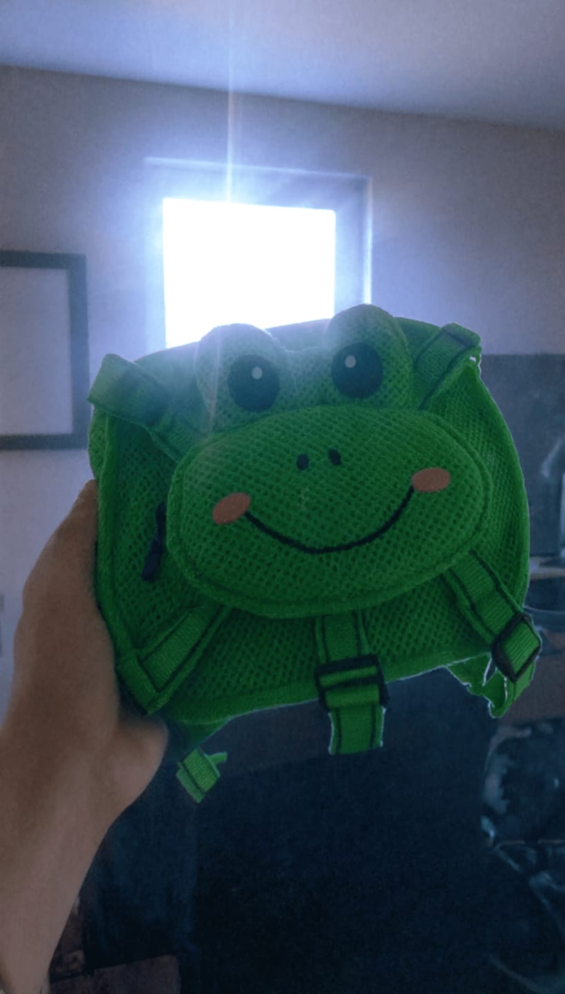Customer photo review of Mochila para Perros
