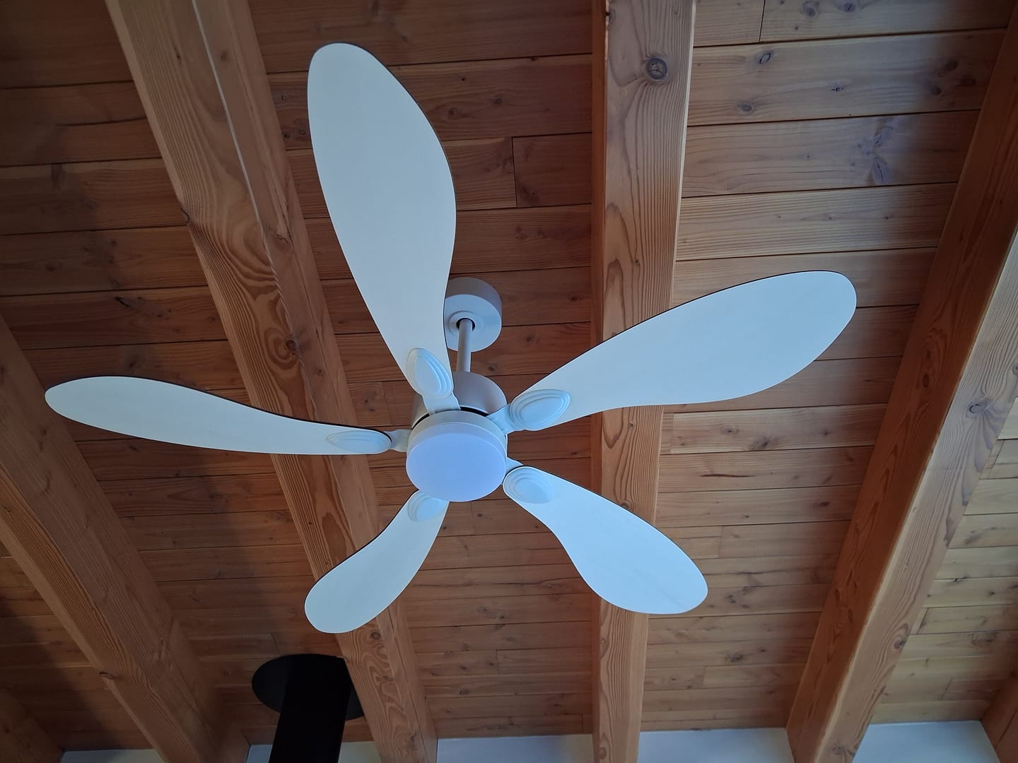Customer photo review of Libellule | Ventilateur de plafond