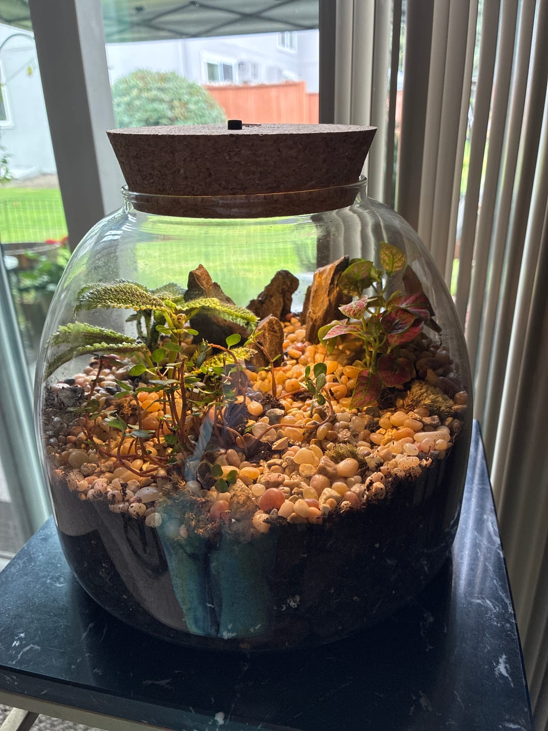 Customer photo review of Light Up Terrarium Kit