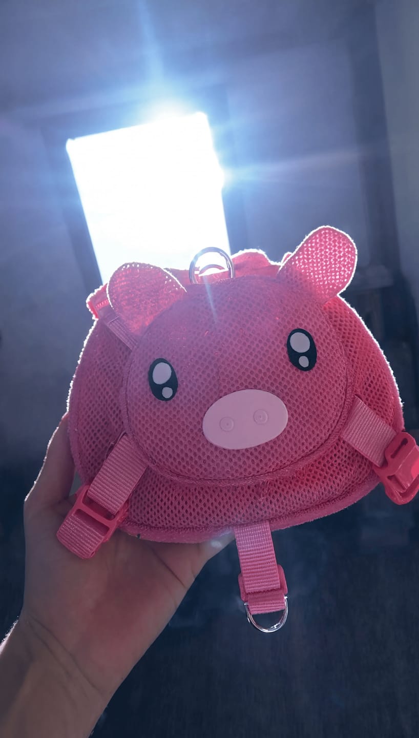 Customer photo review of Mochila para Perros