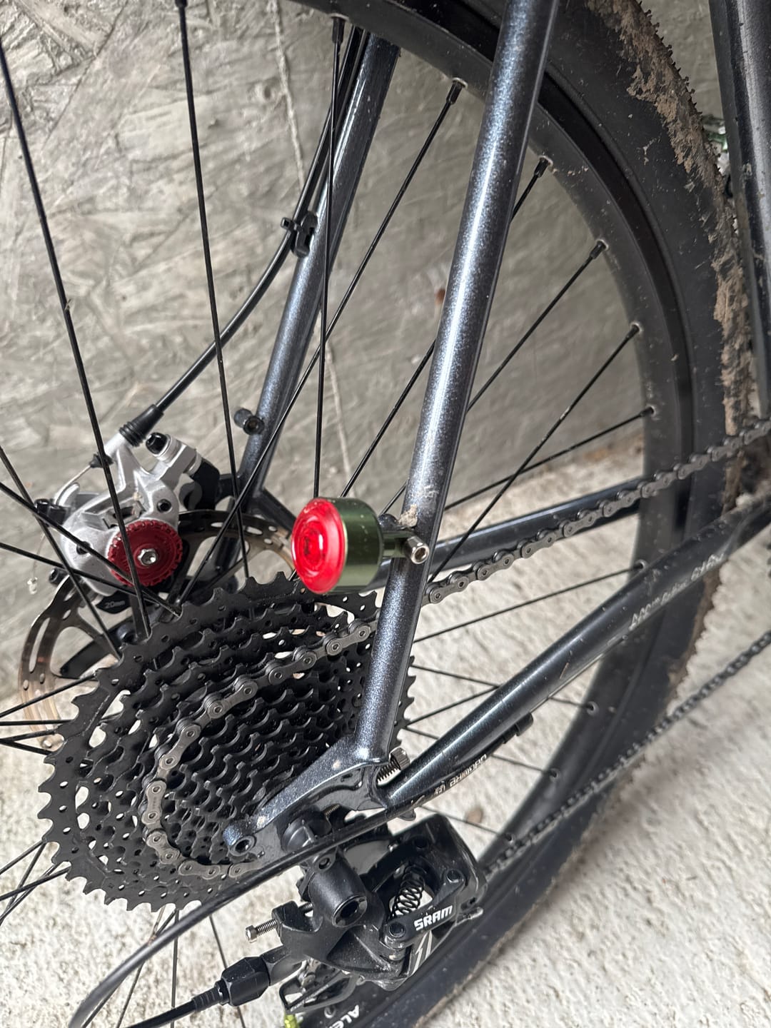 Customer photo review of Blue Lug Koma Light, Rear