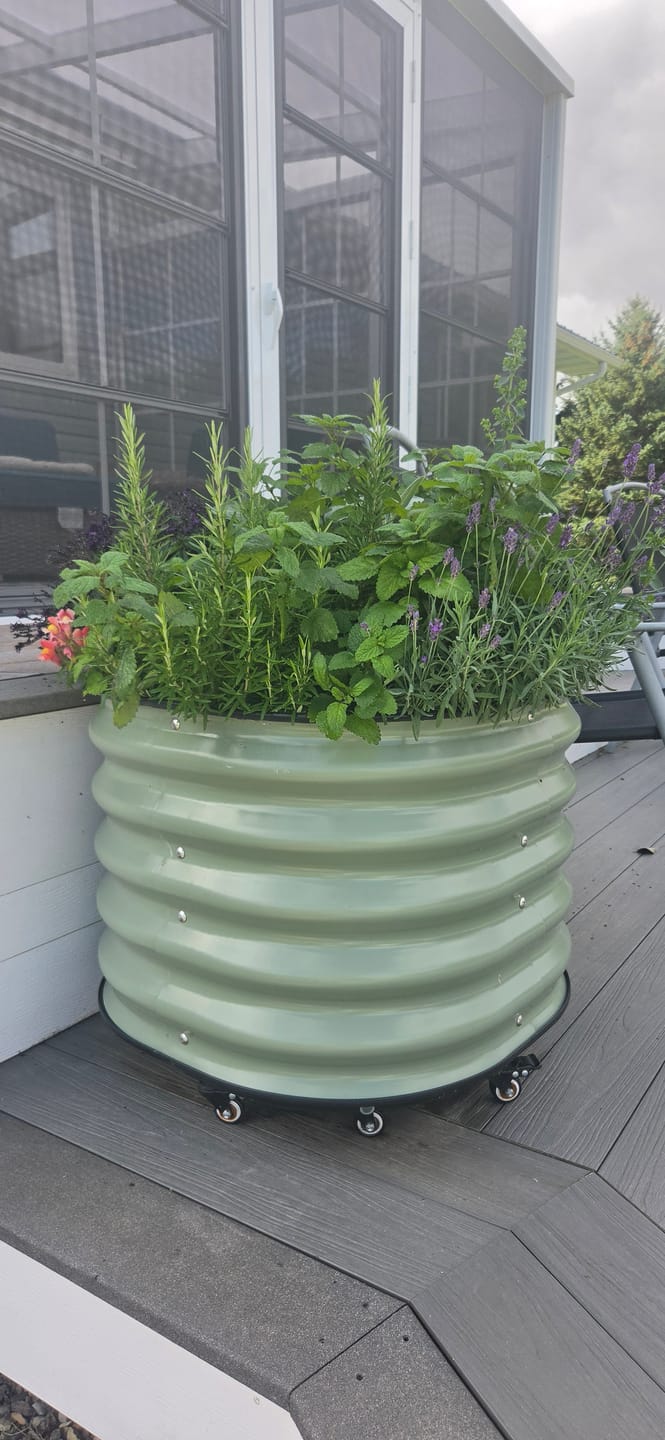 Customer photo review of 17" Tall Rolling Planter
