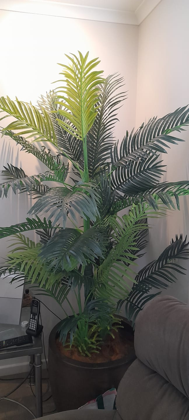 Customer photo review of Artificial Hawaii Palm with Multiple Trunk & Long Leaves 180cm