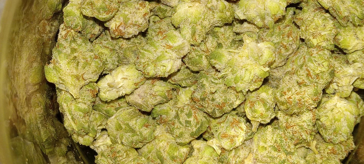 Customer photo review of Value Indoor Smalls