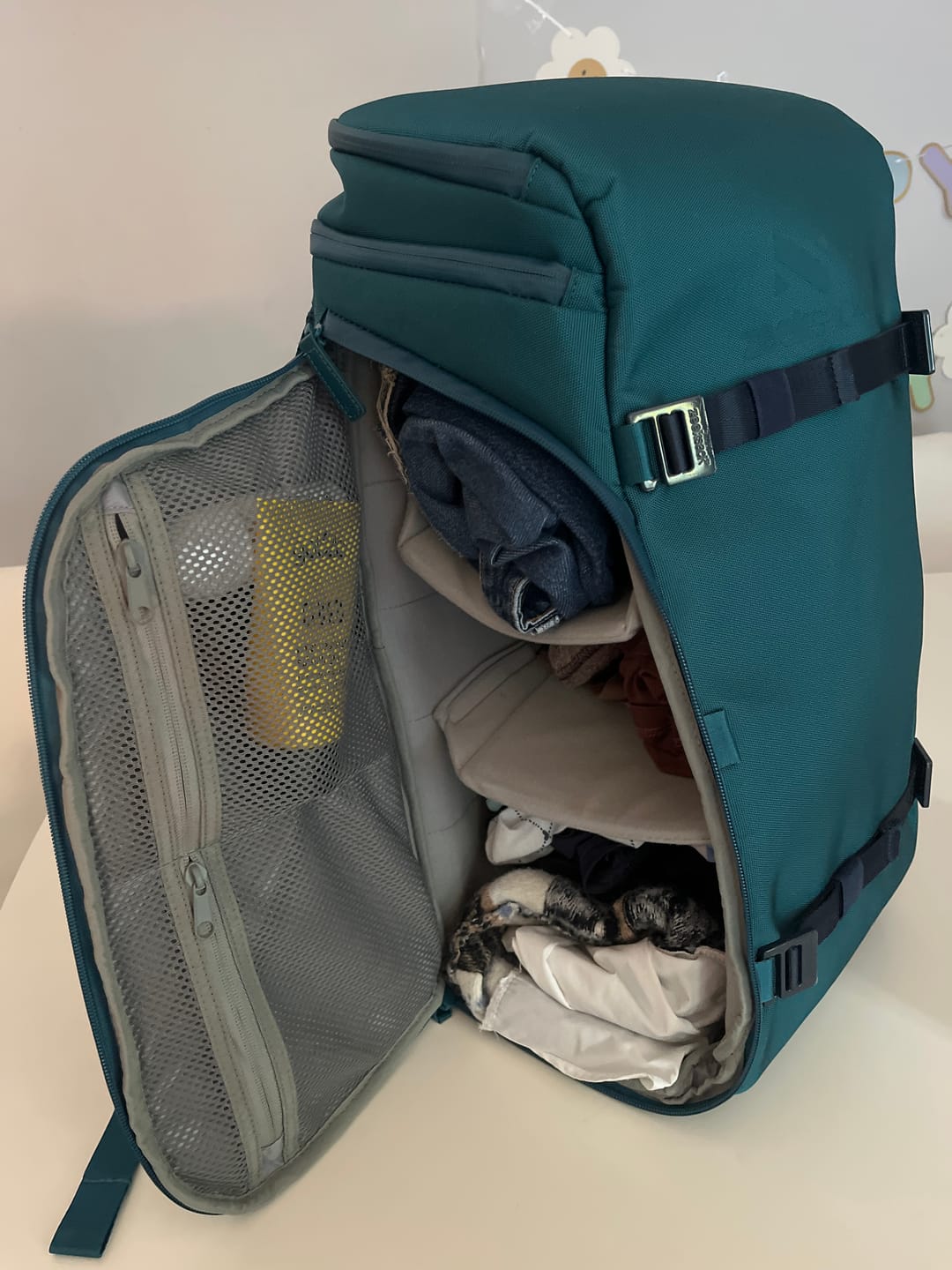 Customer photo review of The Organizer 30L