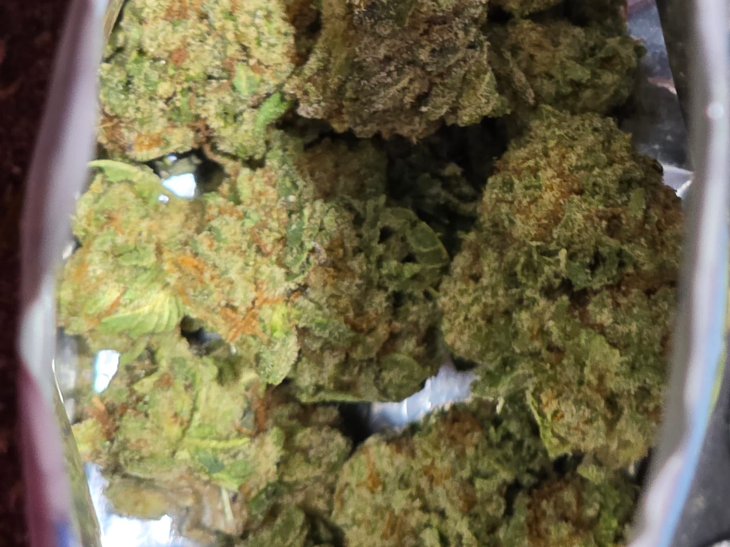 Customer photo review of Sour Tangie THCA Flower