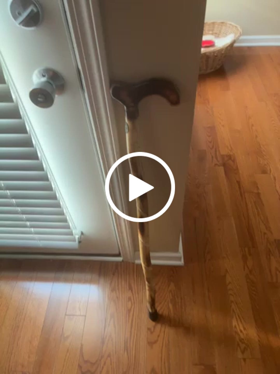 Customer video review of Army Veterans Walking Cane