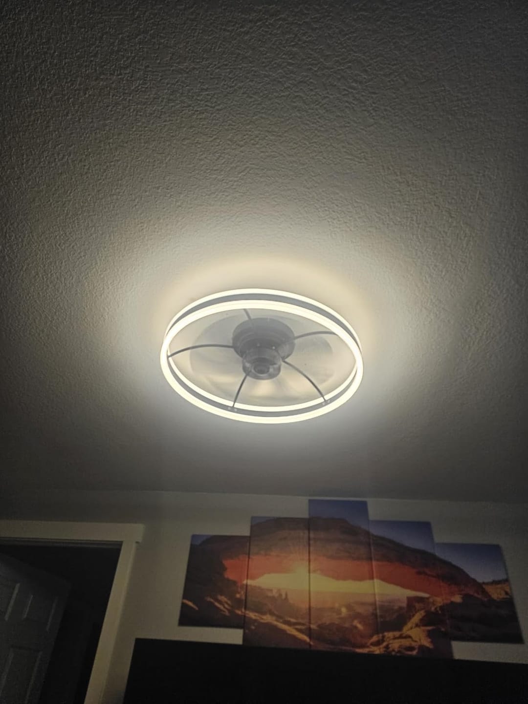 Customer photo review of ZELIA