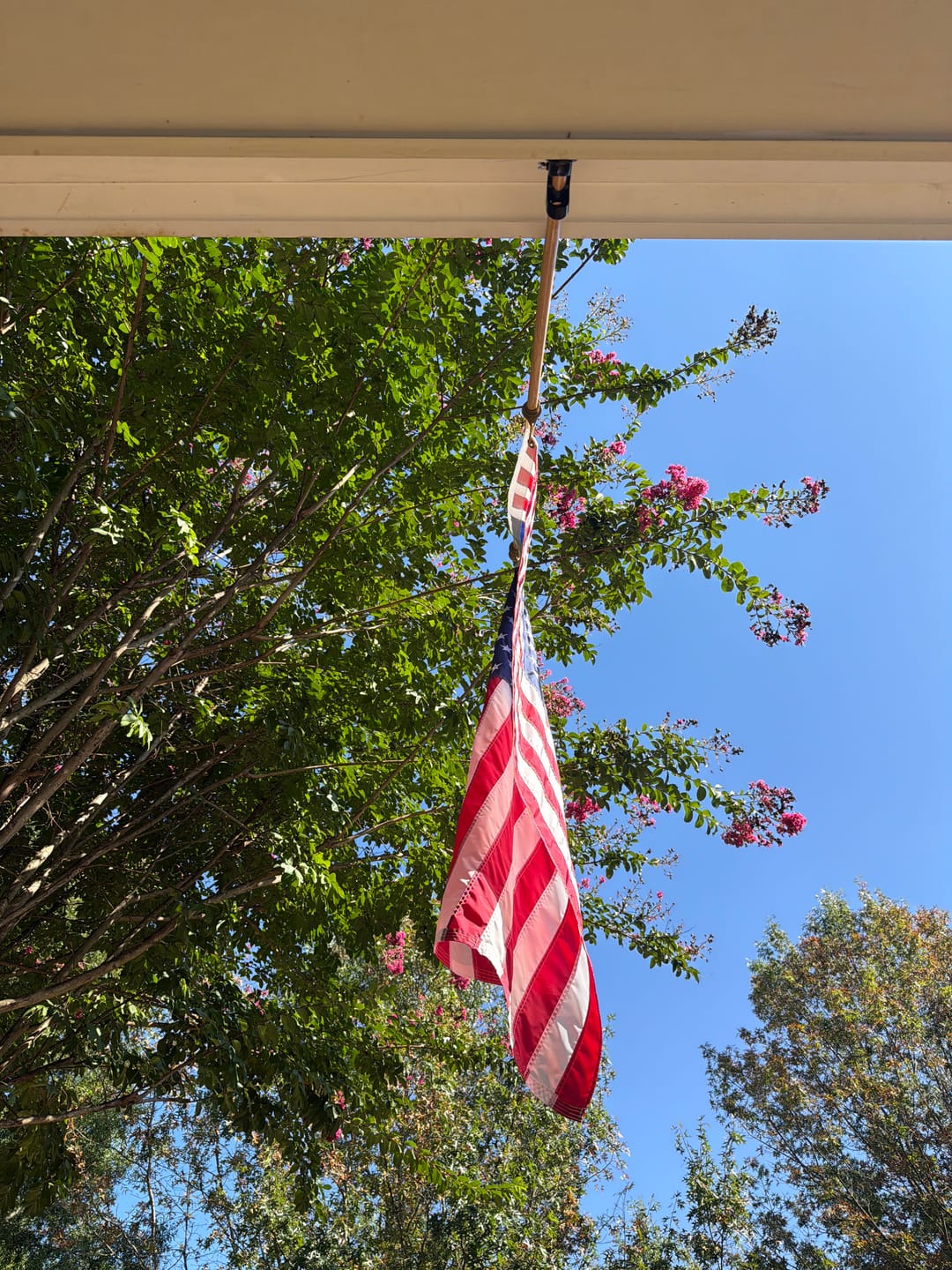 Customer photo review of 3' x 5' American Flag Set