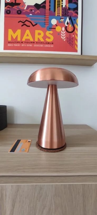 Customer photo review of Copper Table Lamp for Nightstand, Dome Shade, 23 cm