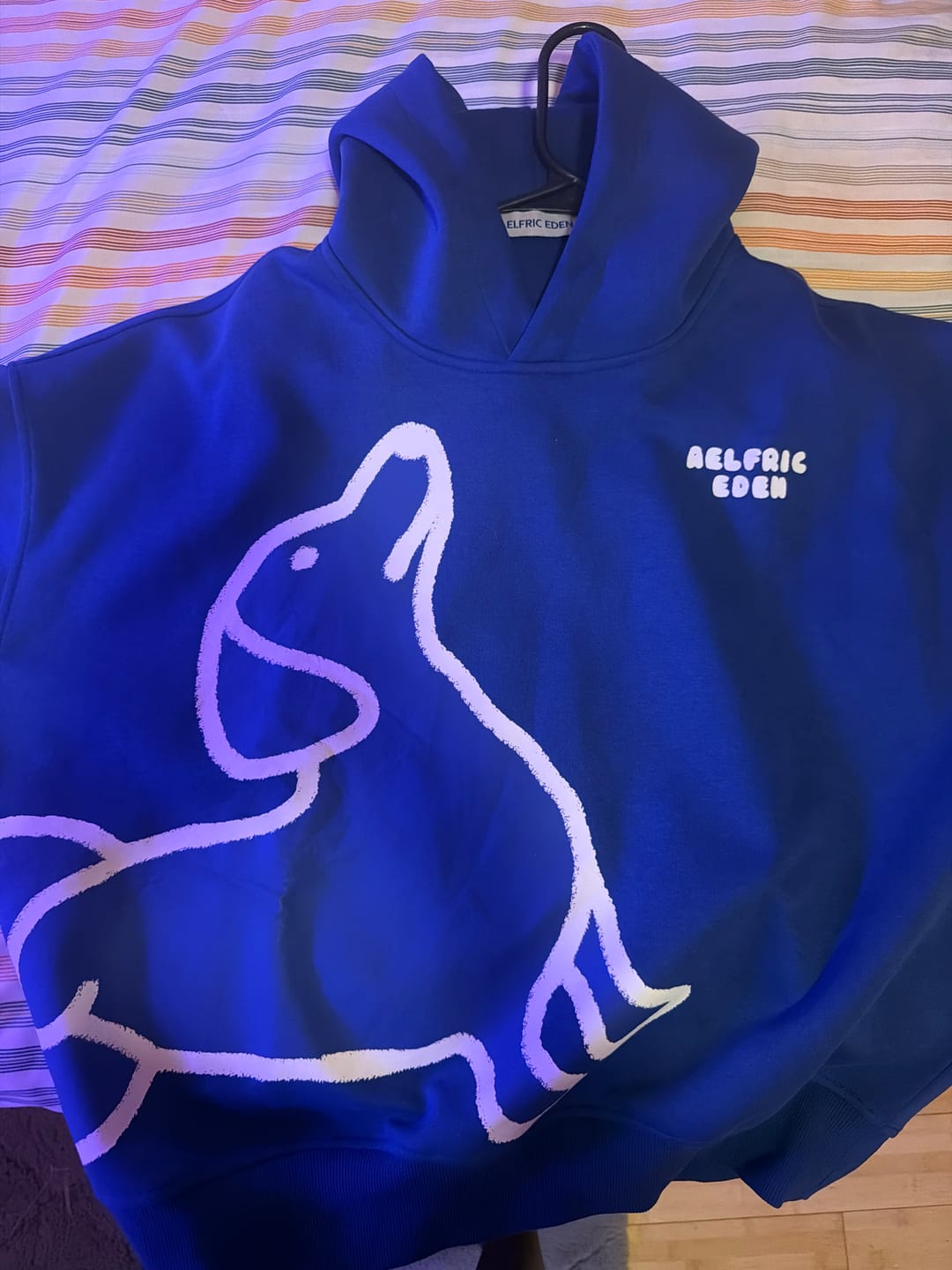 Customer photo review of Aelfric Eden Boxy Dachshund Graphic Hoodie