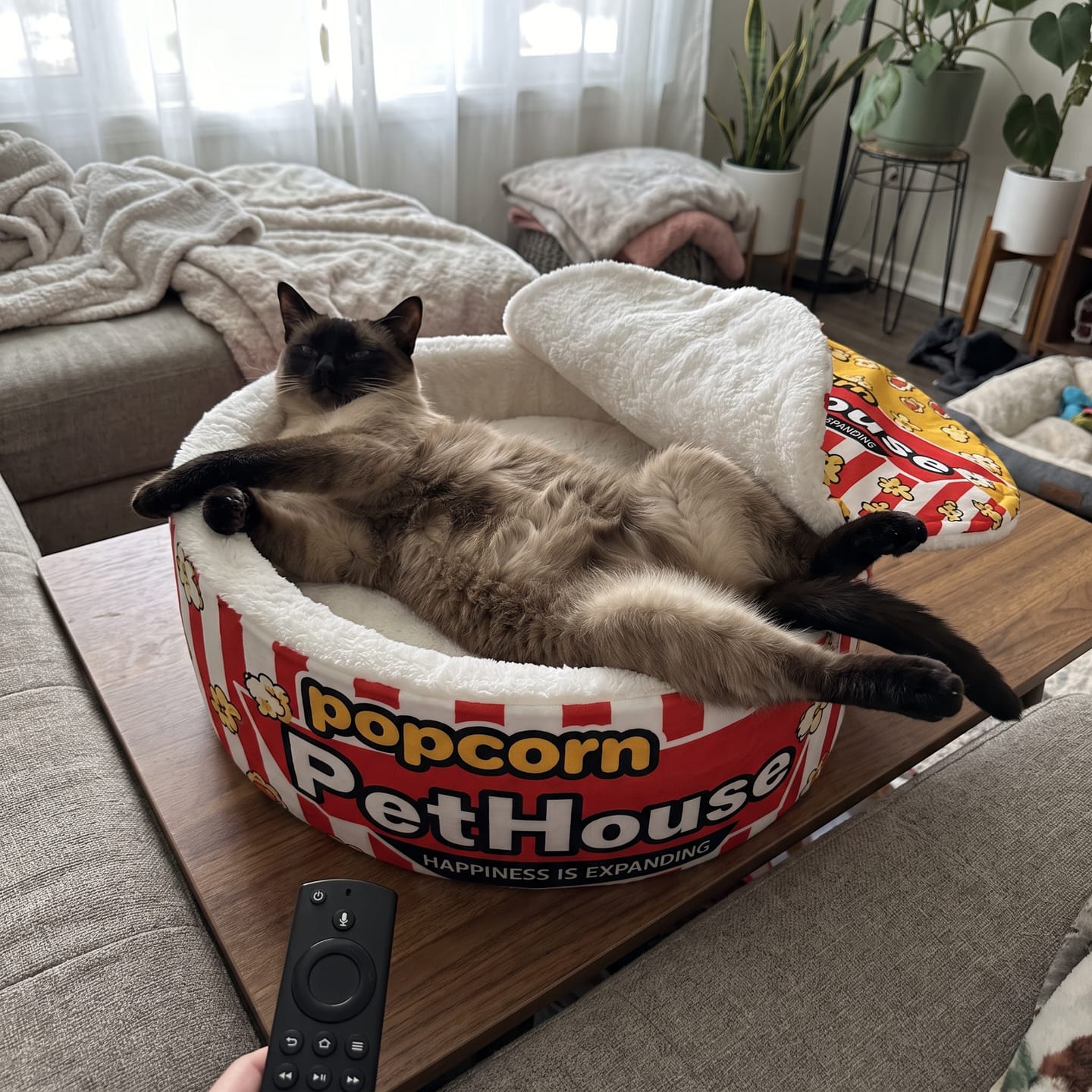Customer photo review of Cama PopCorn para tu gato