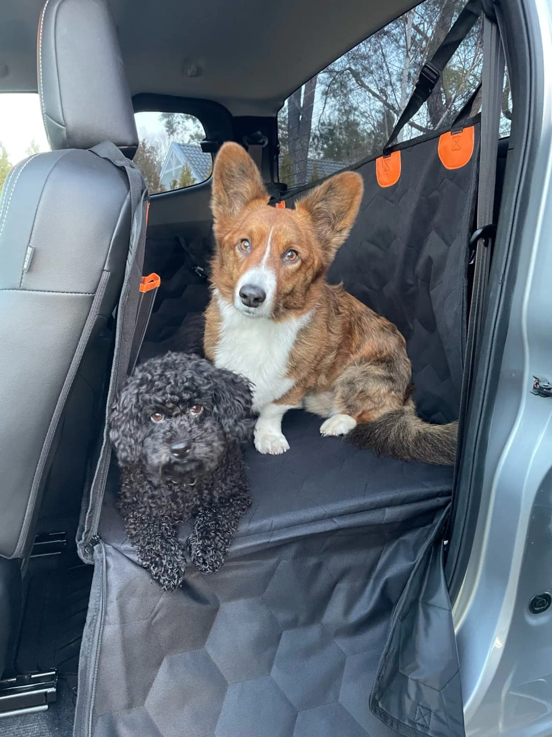 Customer photo review of SilverHammock™ Hard-Bottom Dog Seat Cover