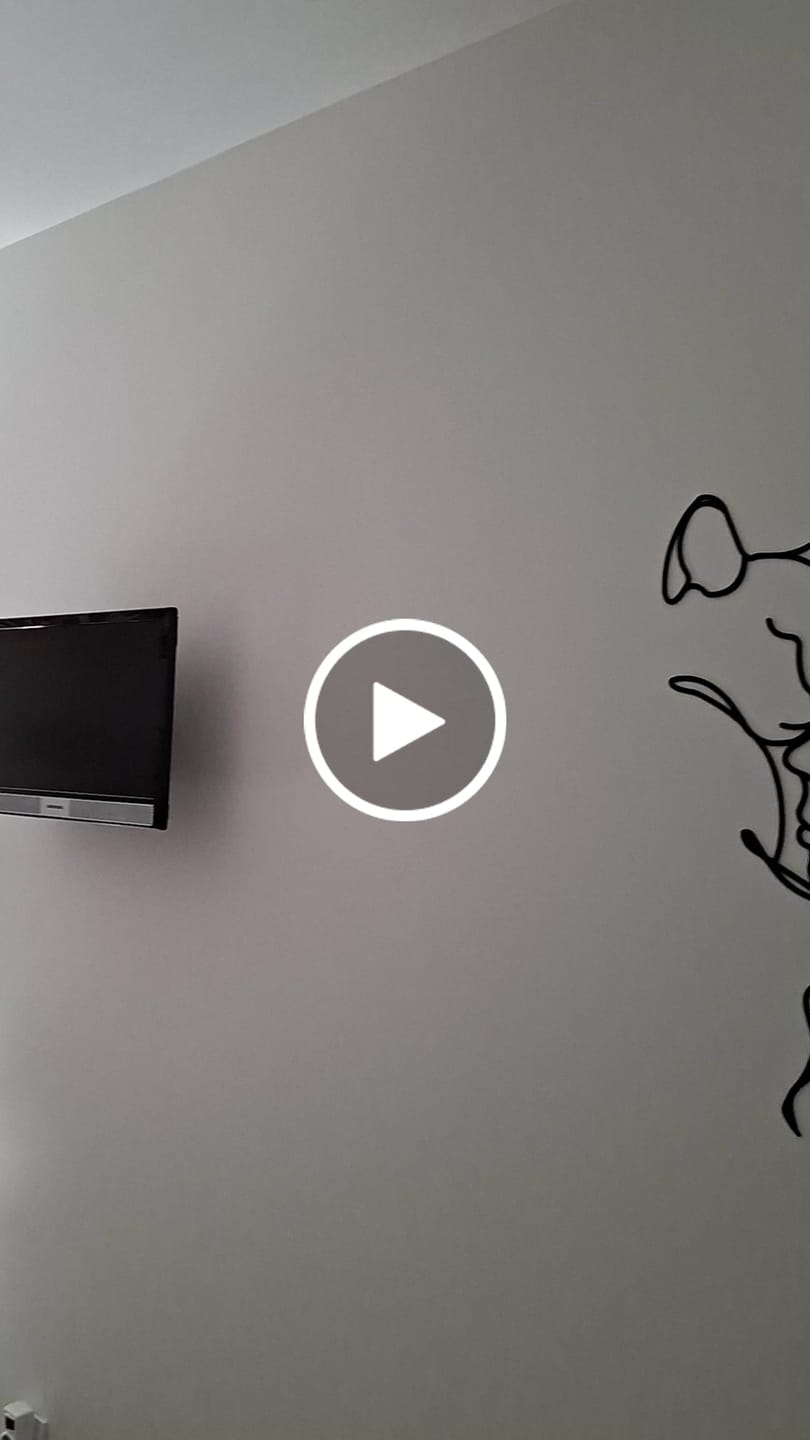 Customer video review of Décoration Murale Métal - Amoureux des chats