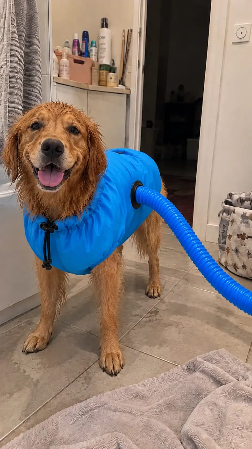 Customer photo review of Bolsa de Secado Rápido para Mascotas