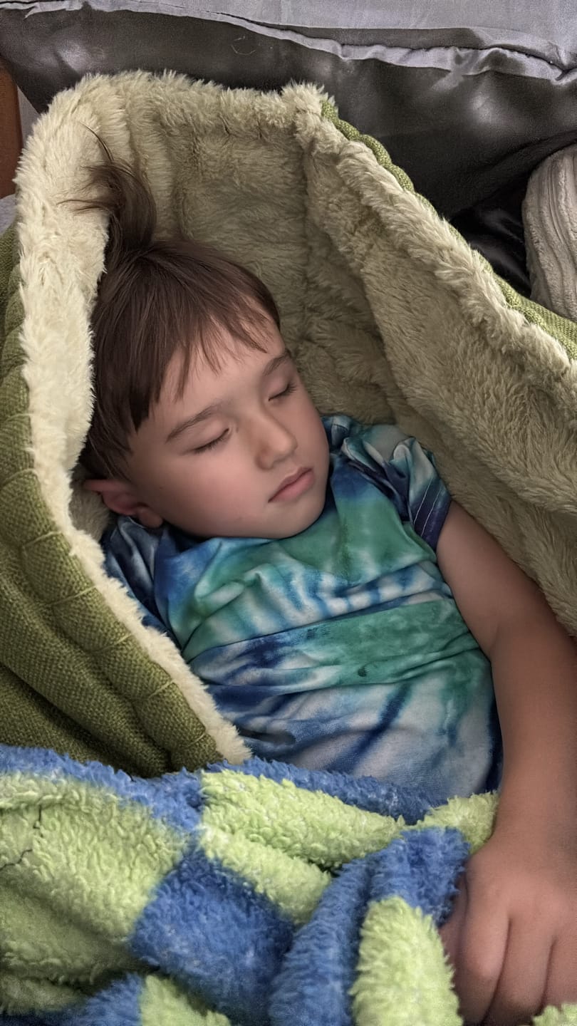 Customer photo review of The Original Koala Nest
