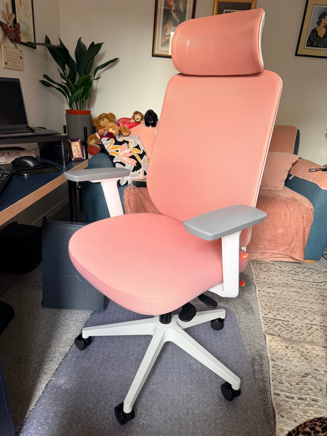Customer photo review of Aera | Adaptive Mesh Office Chair