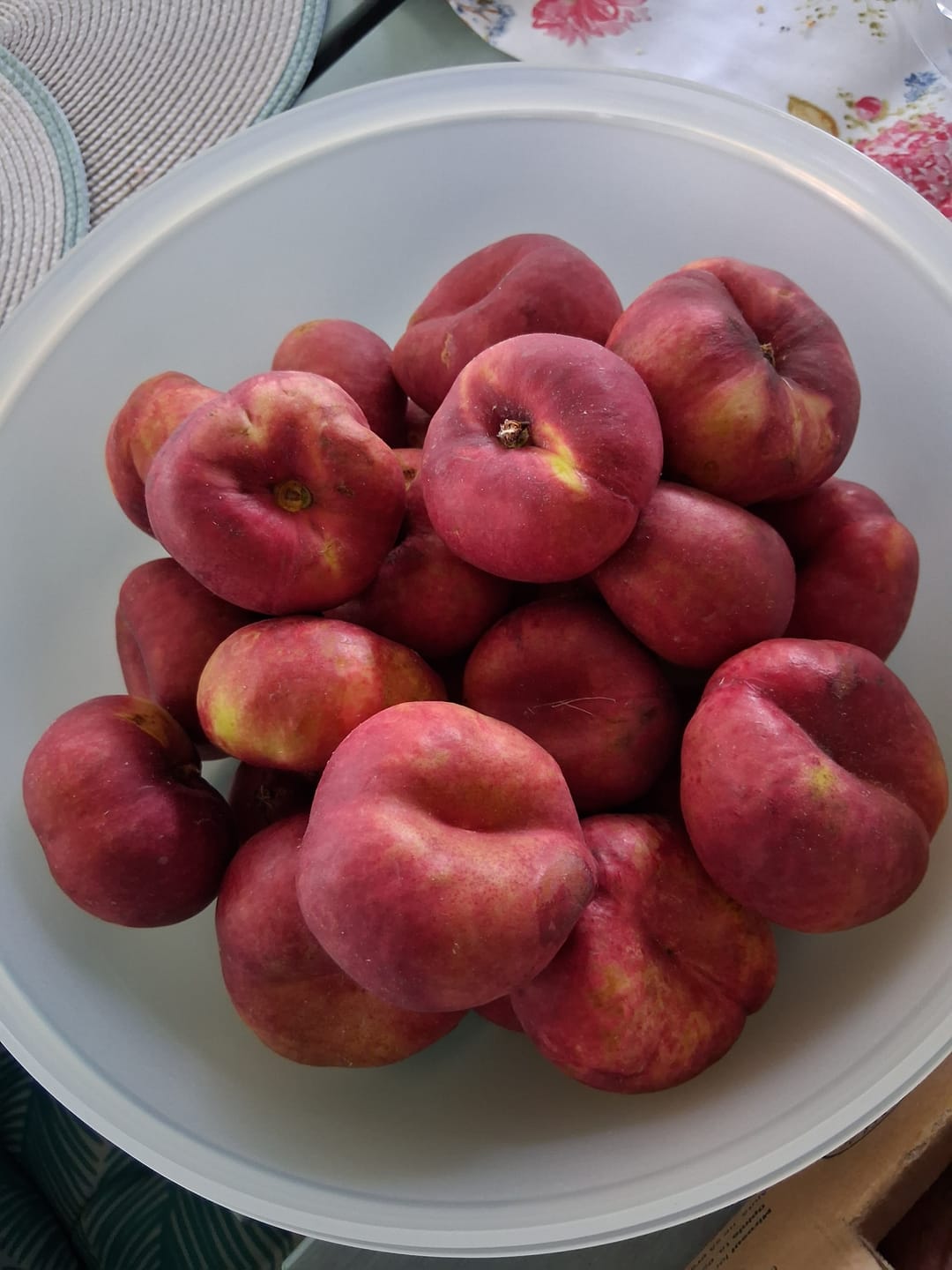 Customer photo review of Weinberg-Nektarinen Platerinos Bio 2kg Box