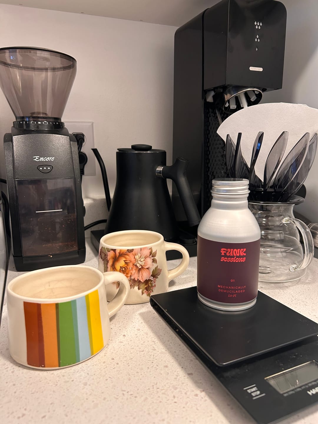 Customer photo review of The Fermentation Project