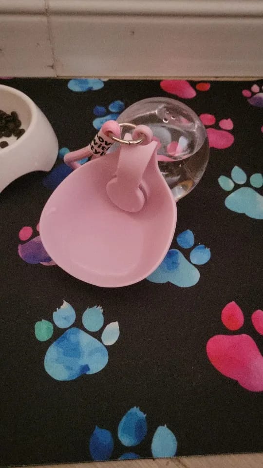 Customer photo review of 2-In-1 Portable Dog Water Bottle