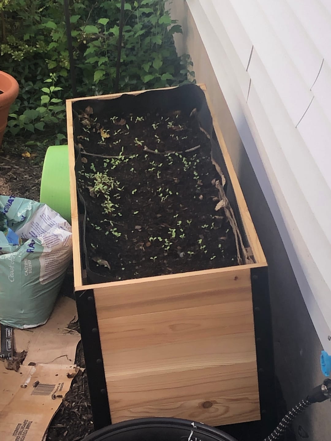 Customer photo review of 18″ x 48″ Deep Root Raised Garden Bed - 30″ TALL - Select Grade