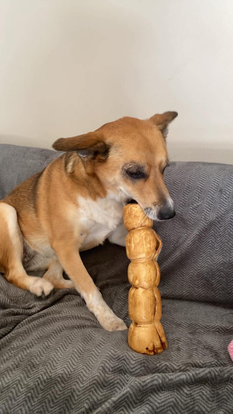 Customer photo review of 10-12 Inch Peanut Butter Cheek Roll