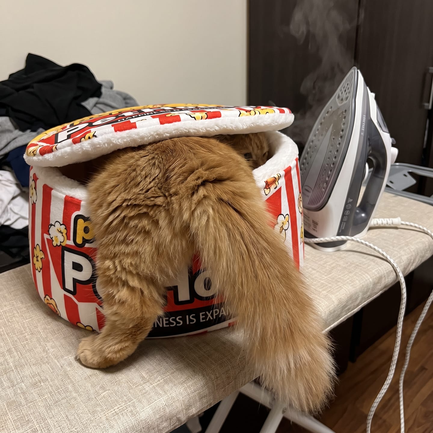 Customer photo review of Cama PopCorn para tu gato