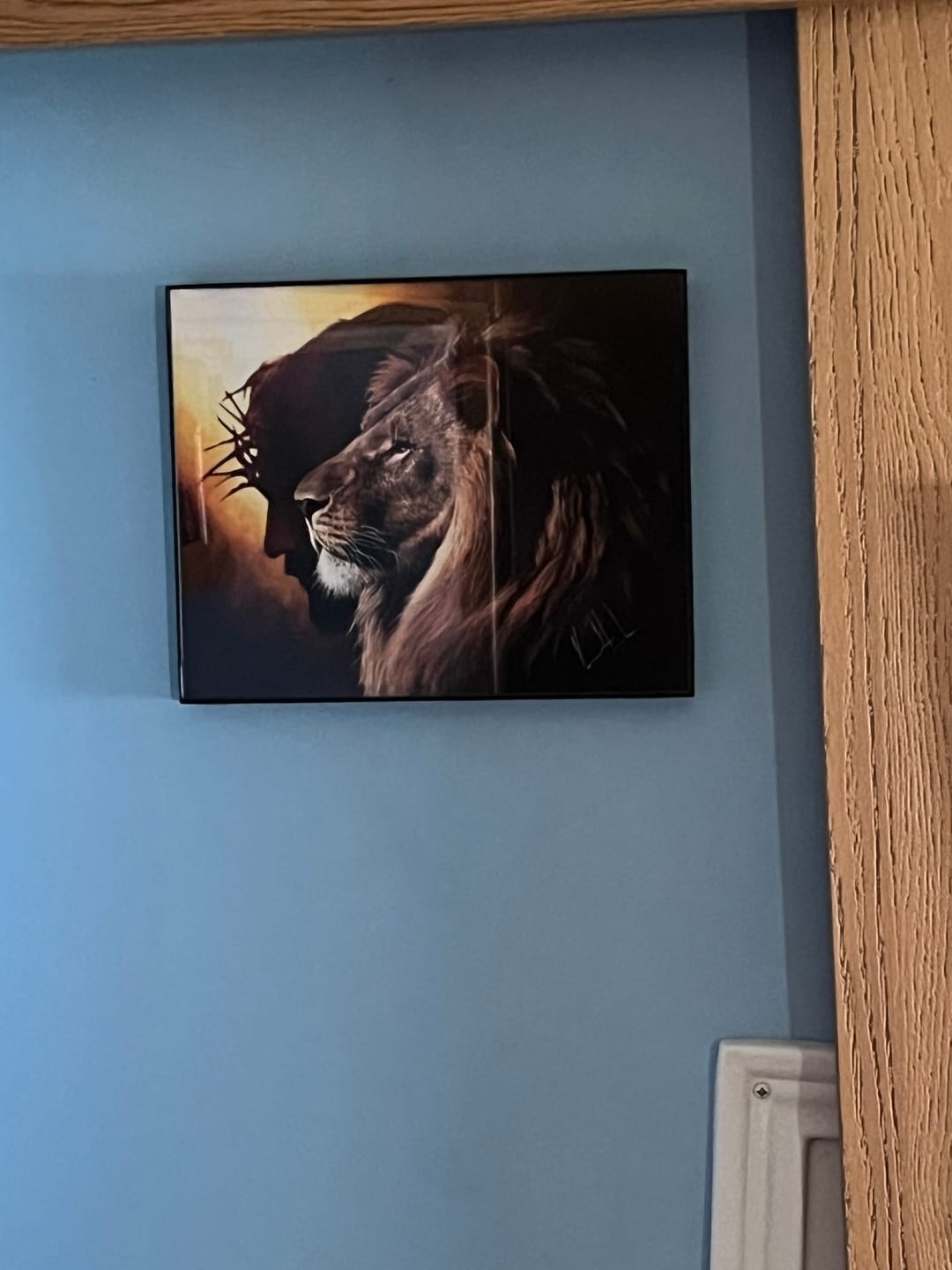 Customer photo review of The Lion of Judah™