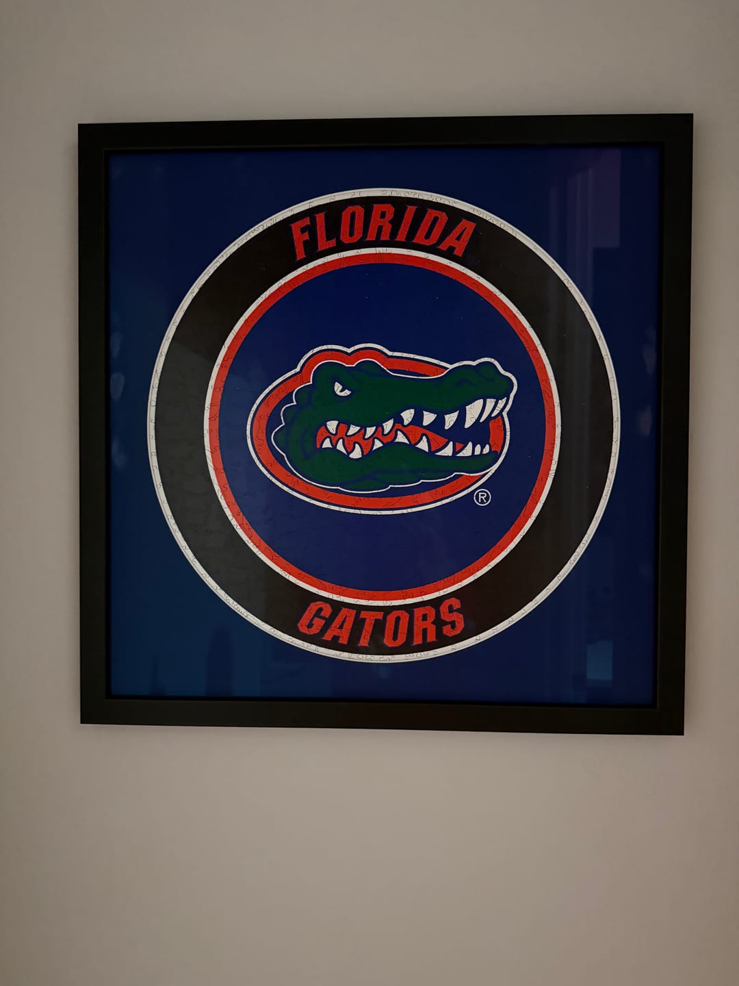 Customer photo review of Florida Gators Logo Wooden Puzzle