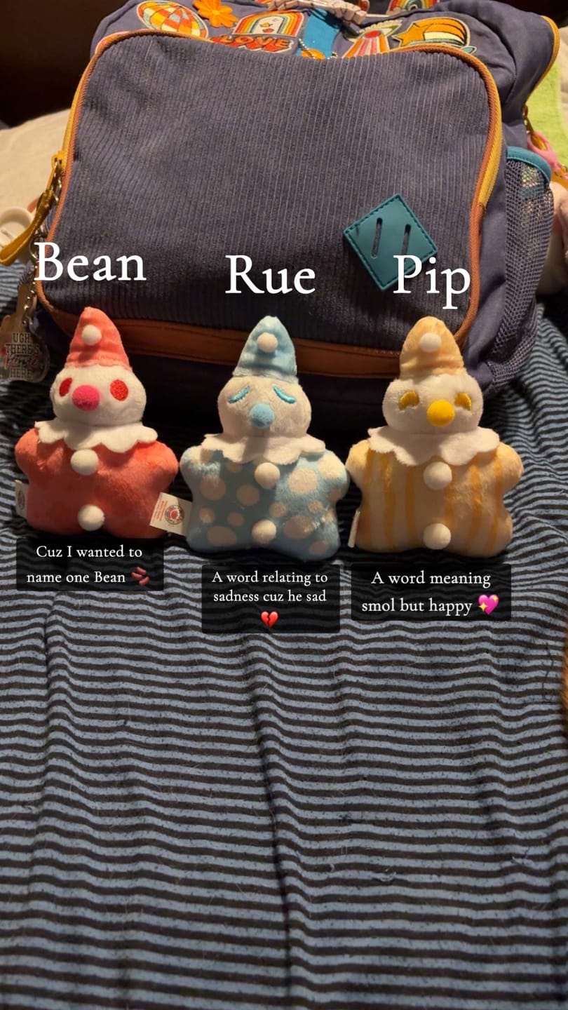 Customer photo review of Cute Lil Clown Plushies!