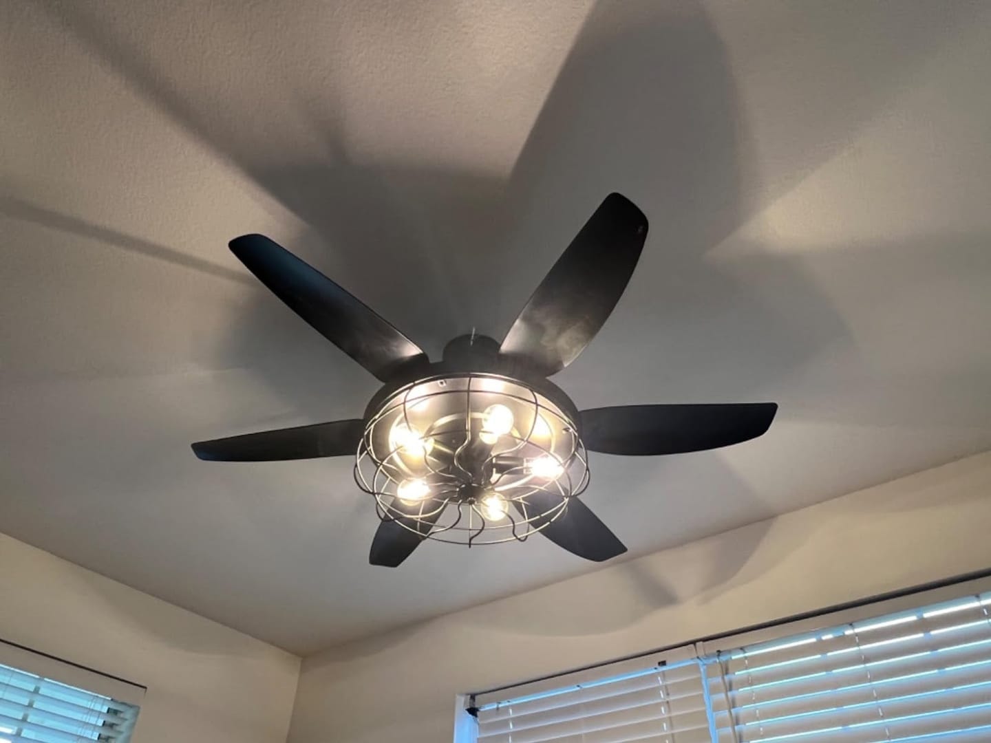 Customer photo review of BRONTE