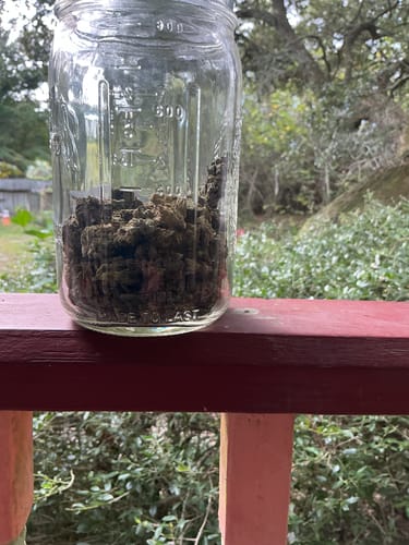 Customer photo review of Cheap THCA Smalls Ounce