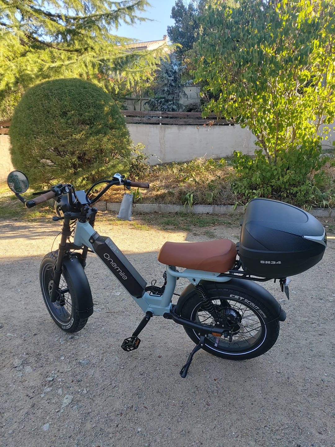 Customer photo review of Onemile Scrambler V Pro Electric Fat Tire Bike