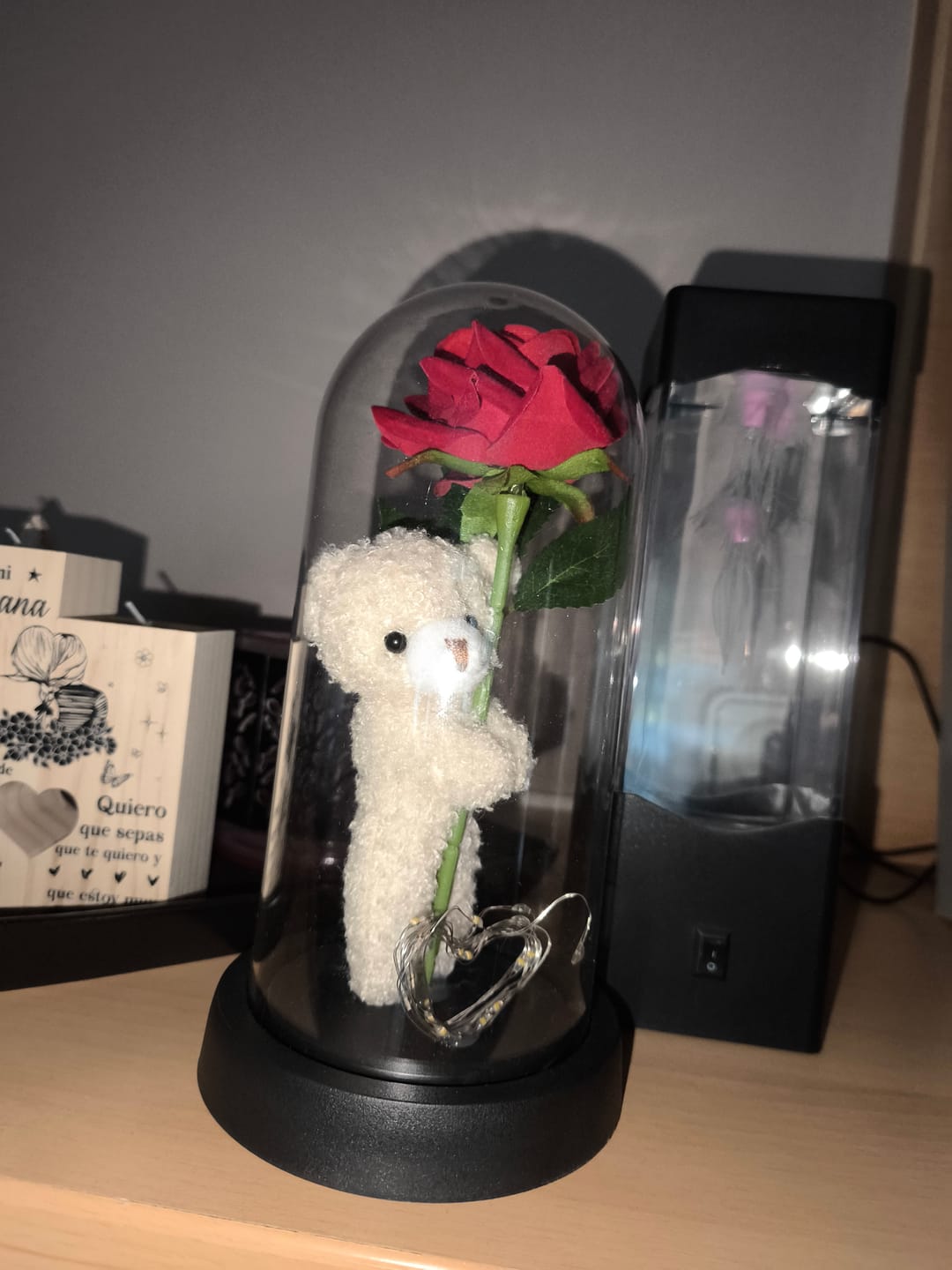 Customer photo review of Osito con Rosa y Corazón luminoso