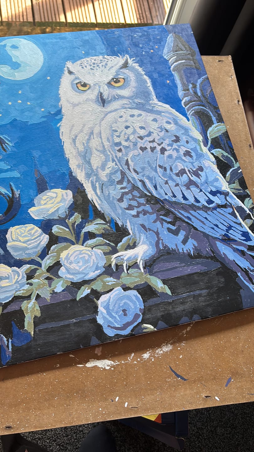 Customer photo review of Snowy Owl