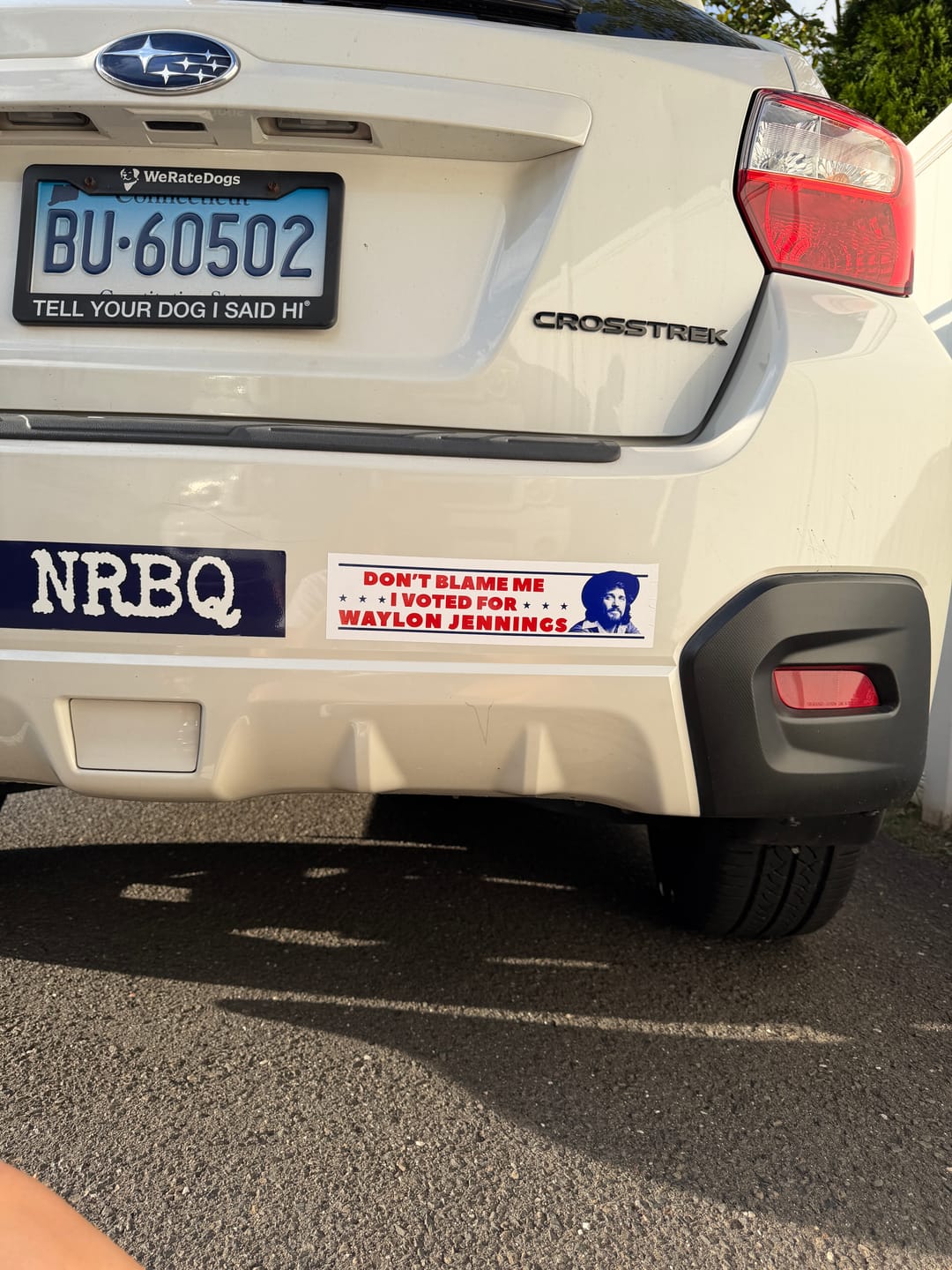 Customer photo review of I Voted for Waylon Jennings Bumper Sticker