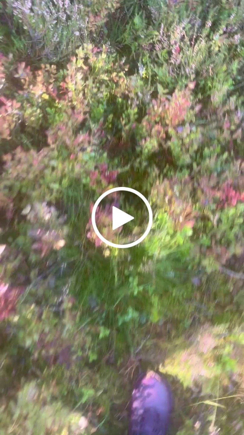 Customer video review of Vaistoa Uoma 2 | Barefoot Trekking Boots